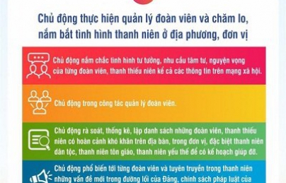 Hiệu quả từ xây dựng Đoàn cơ sở 