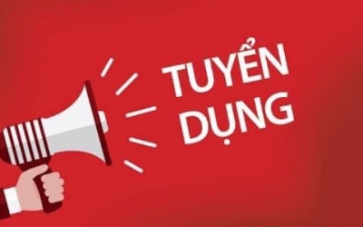 HÒA VANG: TUYỂN DỤNG