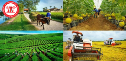 Đề xuất nhiều chính sách hỗ trợ để phát triển hợp tác xã Đề xuất nhiều chính sách hỗ trợ để phát triển hợp tác xã